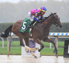 2023 Frizette Stakes Replay Analysis | Just F Y I Wins Sloppy Edition Of Juvenile Fillies Prep