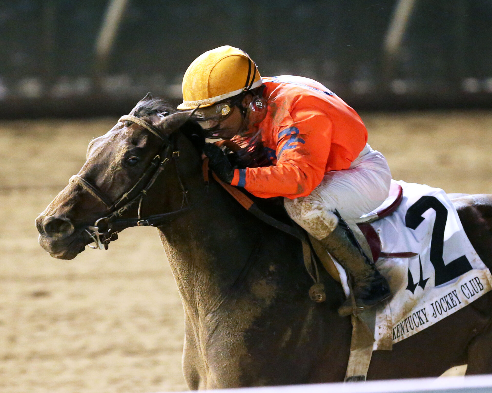 Kentucky Derby 2024 Top 5 Contenders November 27, 2023