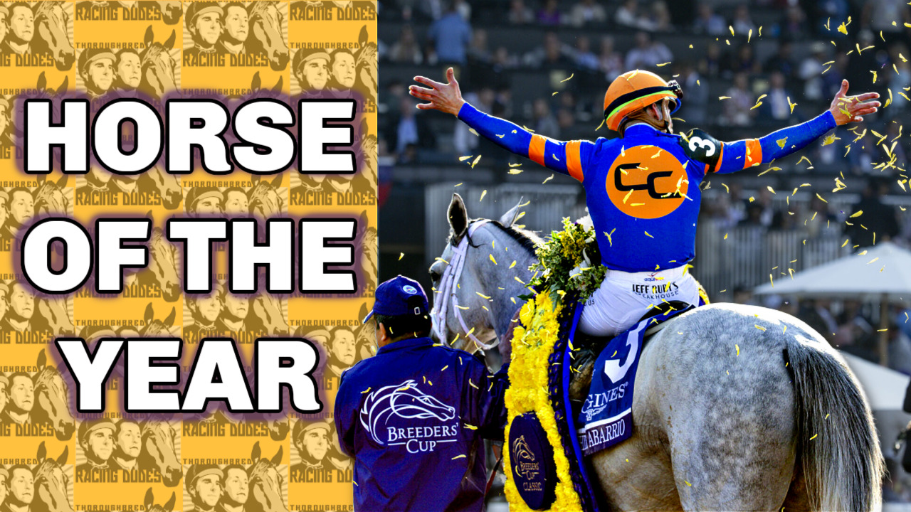Did The Breeders' Cup Results Decide Horse Of The Year?