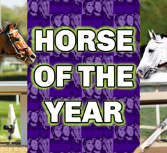 Horse Of The Year 2023 Award | Cody’s Wish, White Abarrio Among Top 5 Contenders