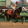Preakness Stakes News | Rosario Back In Just Steel’s Saddle