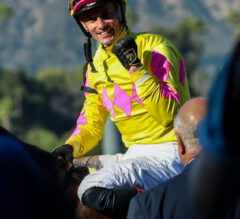 Rising Stars in American Thoroughbred Racing