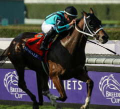 Breeders’ Cup Replay | 2023 Turf Sprint: Nobals Posts Upset With Rail-Skimming Rally