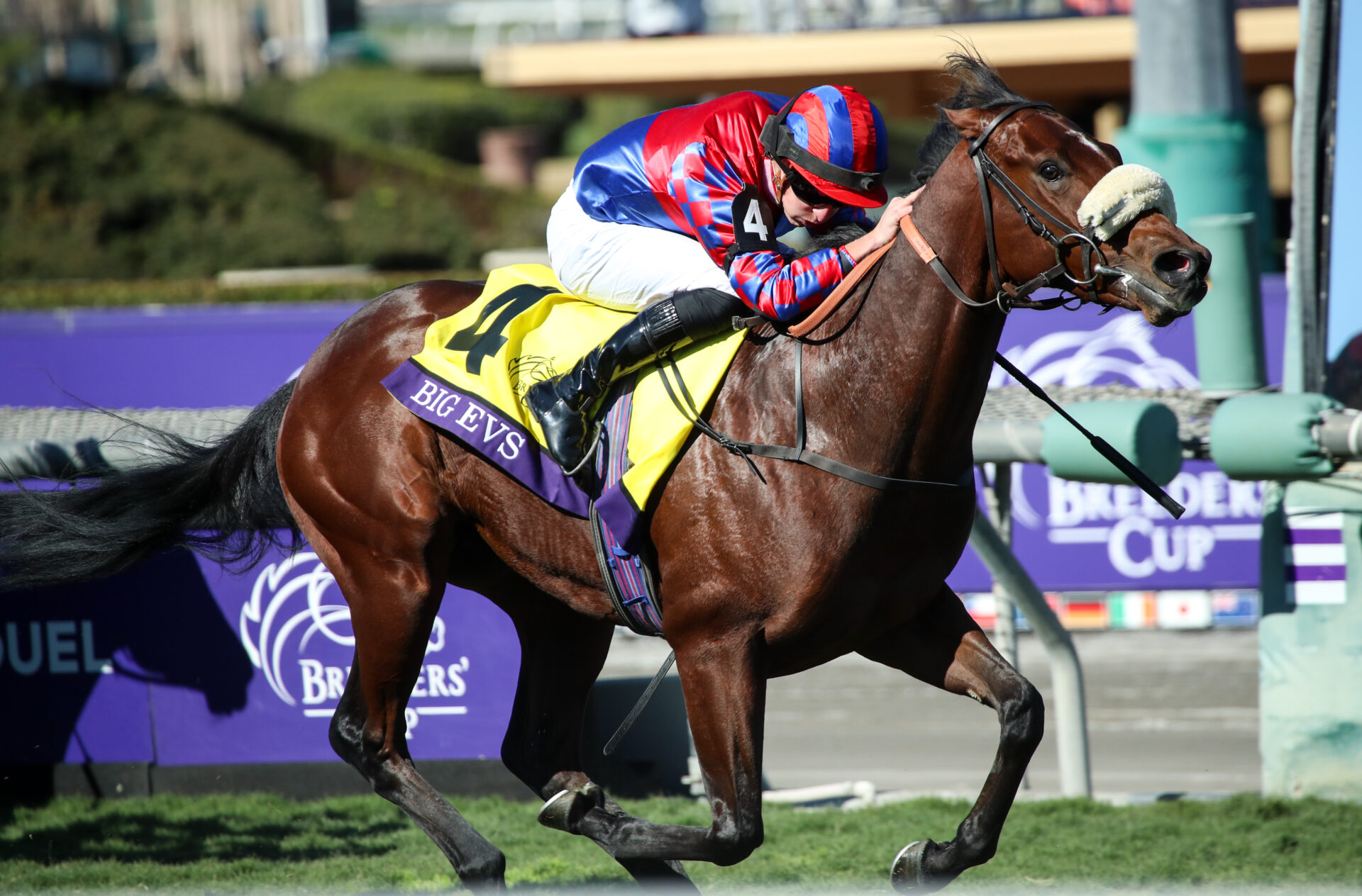 Breeders' Cup Replay 2023 Juvenile Turf Sprint