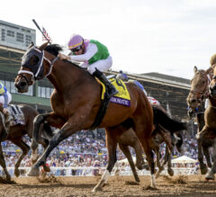 Breeders’ Cup Replay | 2023 Distaff: Idiomatic Leaves No Doubt With Division-Clinching Win