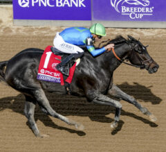 Breeders’ Cup Replay | 2023 Filly & Mare Sprint: Goodnight Olive Repeats As Champion