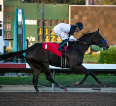 Los Alamitos Replay | Starlet Stakes 2023: Nothing Like You Gives Baffert 7th Straight Win, 10th Overall