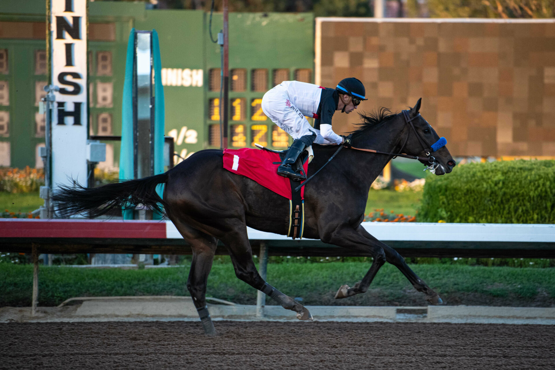 Los Alamitos Replay Starlet Stakes 2023