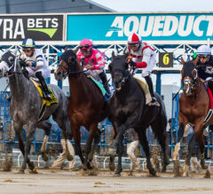 Aqueduct Preview | Gravesend Stakes 2023