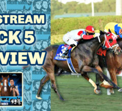 Gulfstream Park Pick 5 Saturday Preview | The Magic Mike Show 518