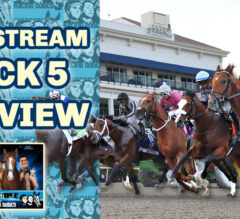Gulfstream Park Pick 5 Thursday Preview | The Magic Mike Show 516