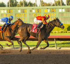 Racing Dudes Premium Picks CASH Nice Trifecta at Los Alamitos for $175.10 on $24 Ticket 12/14/24