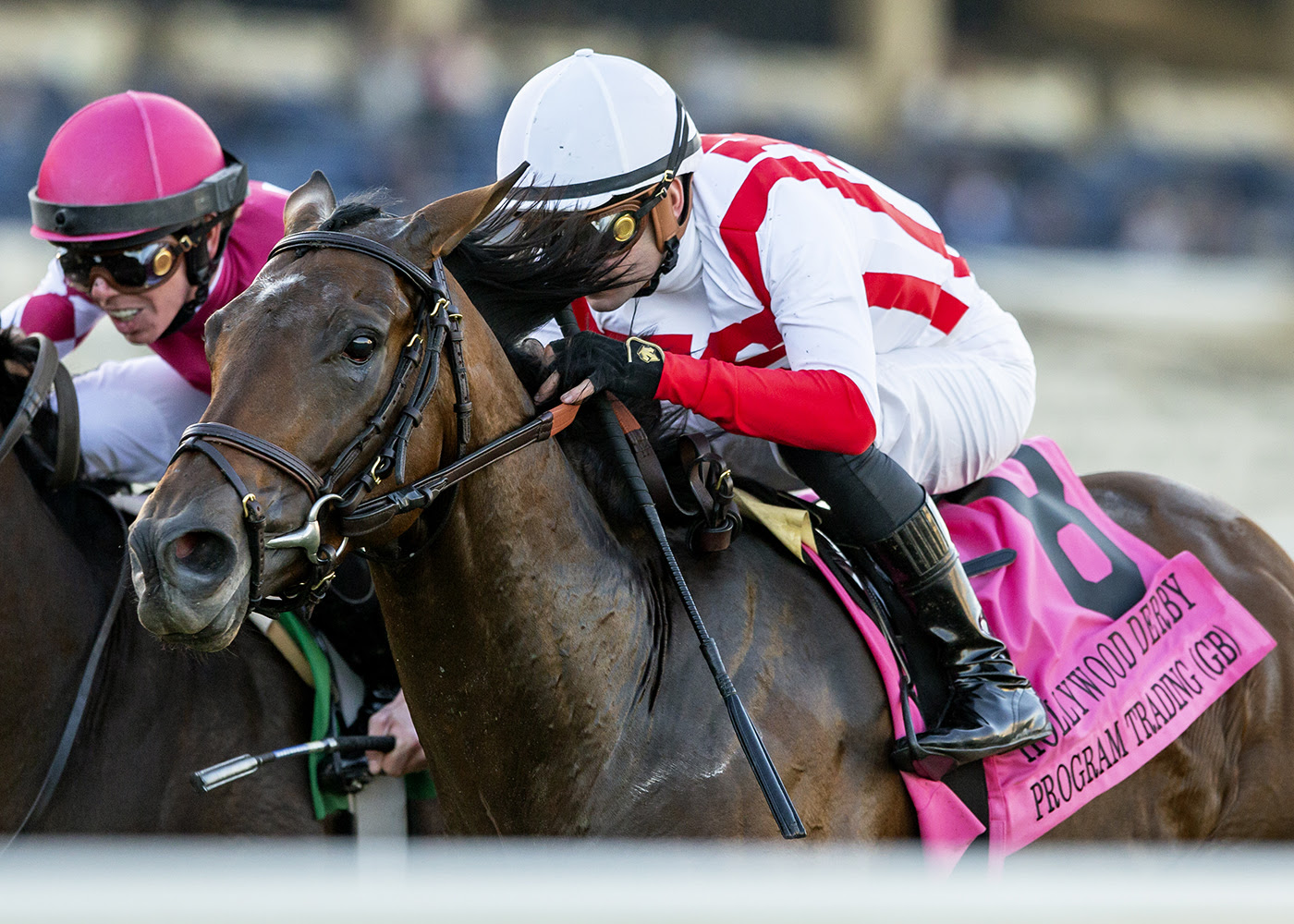Del Mar Replay | Hollywood Derby 2023