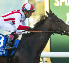 Del Mar Replay | Matriarch Stakes 2023: Surge Capacity Wins, Chad Brown Trains Top 4 Finishers