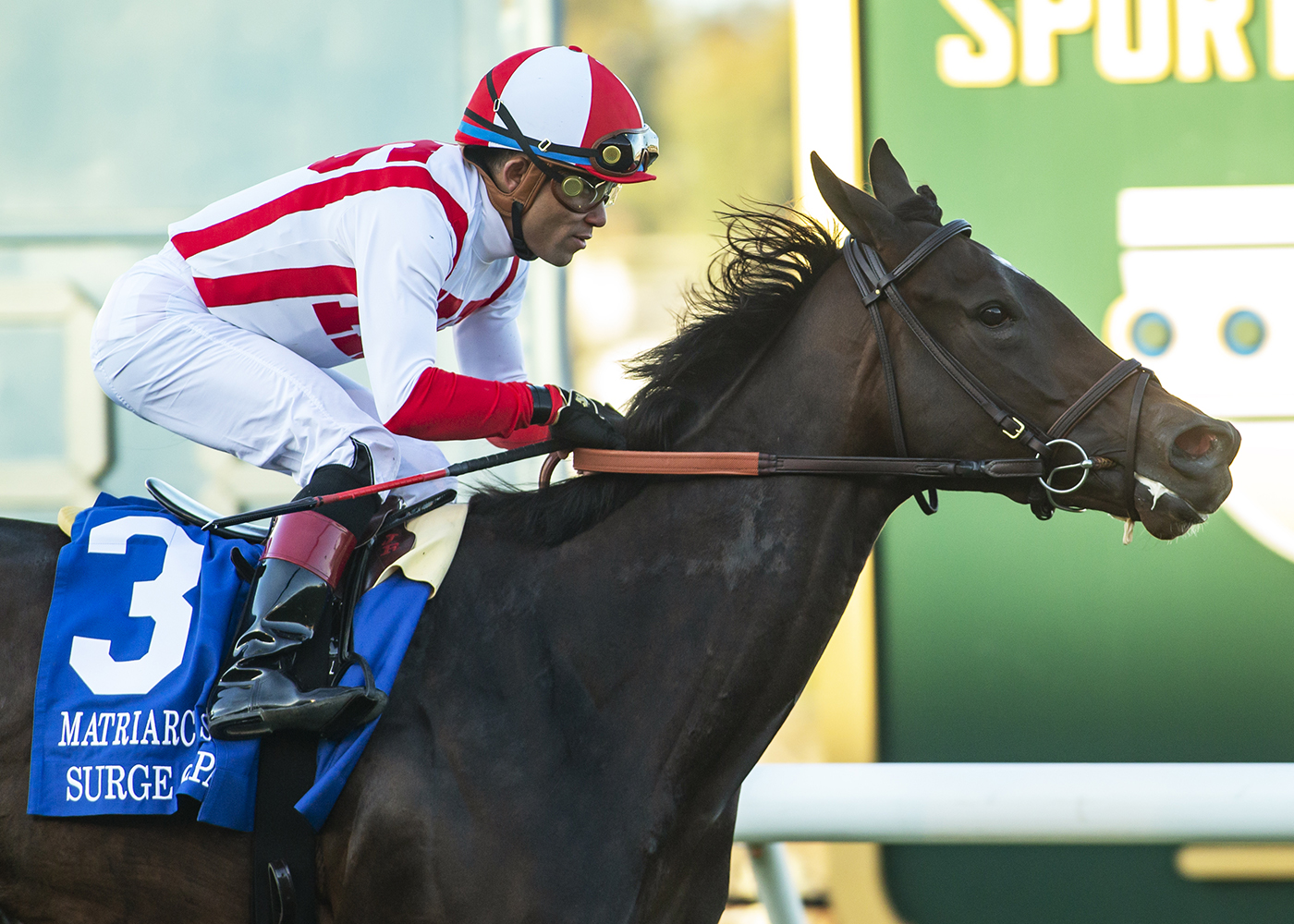 Del Mar Replay | Matriarch Stakes 2023