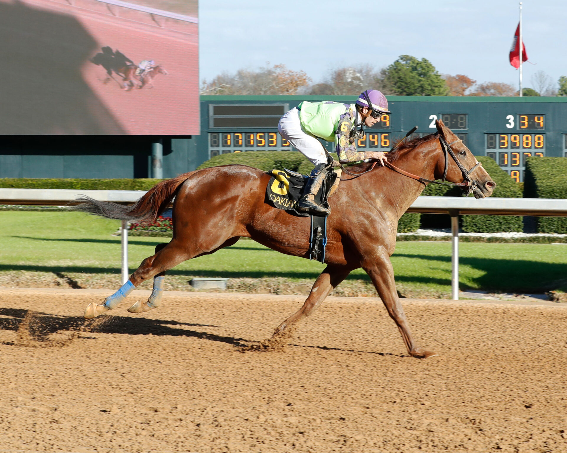 Oaklawn Park Picks Whitmore Stakes 2024