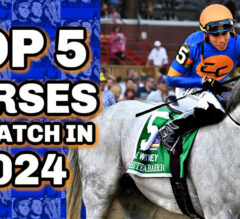 Top 5 Horses To Watch In 2024