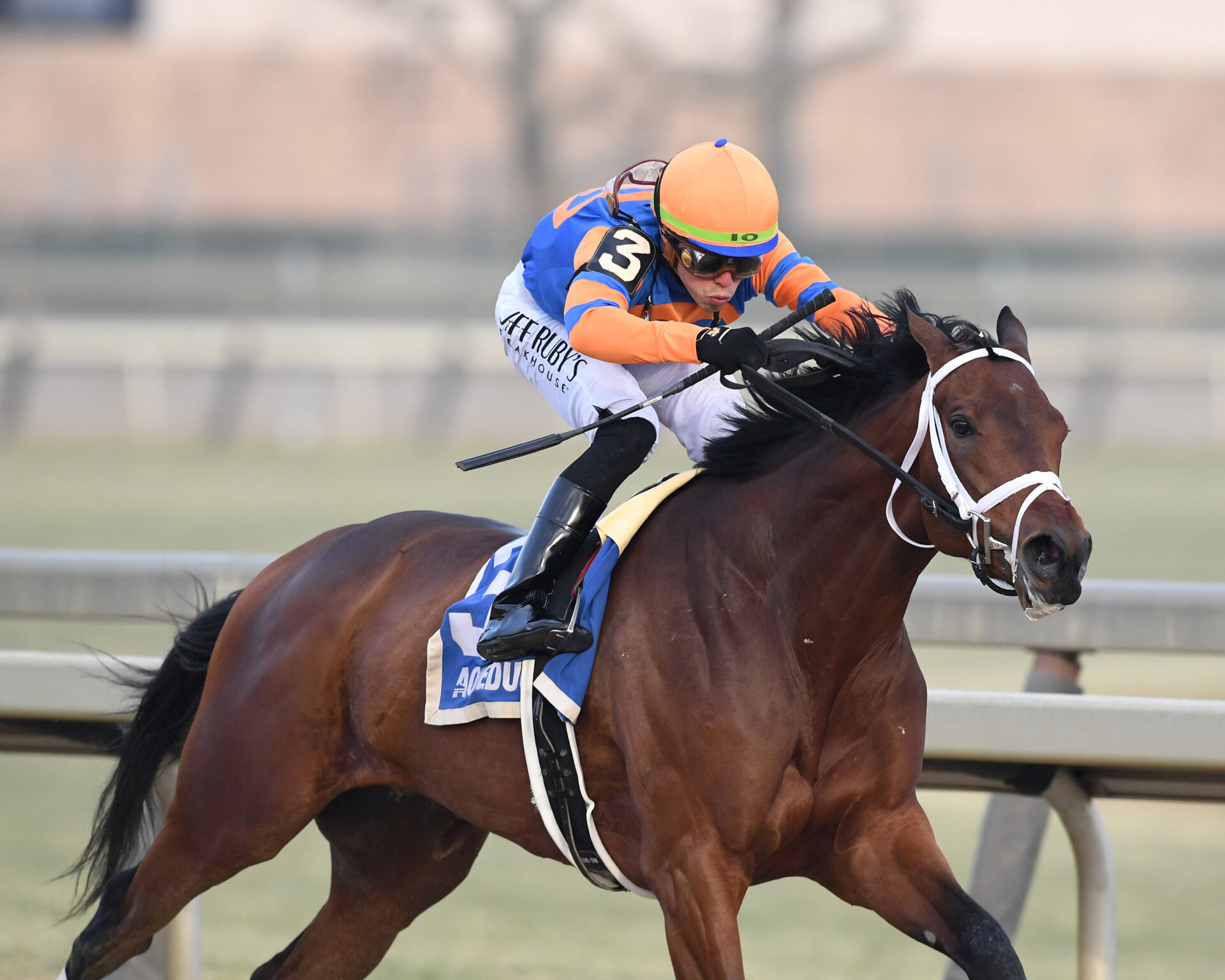 Suncoast Stakes 2024 Tampa Bay Downs Picks