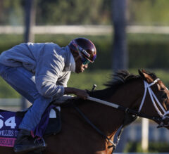 Gulfstream Park Preview | Wait A While Stakes 2023: Buttercream Babe Back From Breeders’ Cup