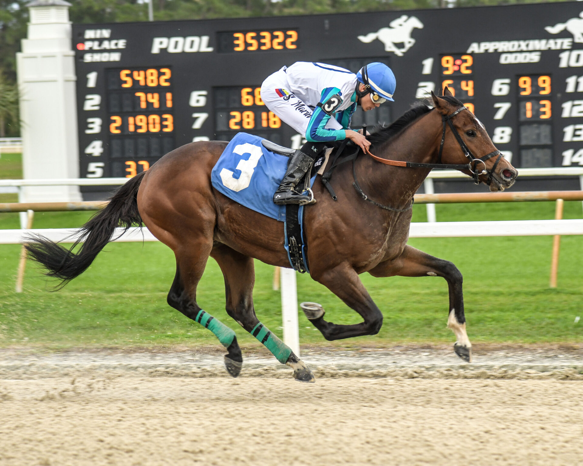 Saratoga Raceway Picks Saratoga Raceway Picks
