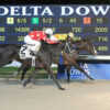 Racing Dudes Premium Picks CRUSH Trifecta at Delta Downs for $223.60 on $12 Ticket 11/13/24