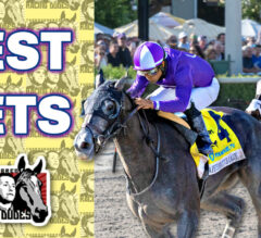 Horse Racing BEST BETS: Gulfstream Park January 6-7, 2024