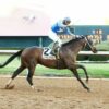 Catching Freedom | Get To Know The 2024 Kentucky Derby Contender