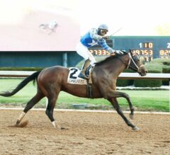 Catching Freedom | Kentucky Derby 2024 Contender Profile