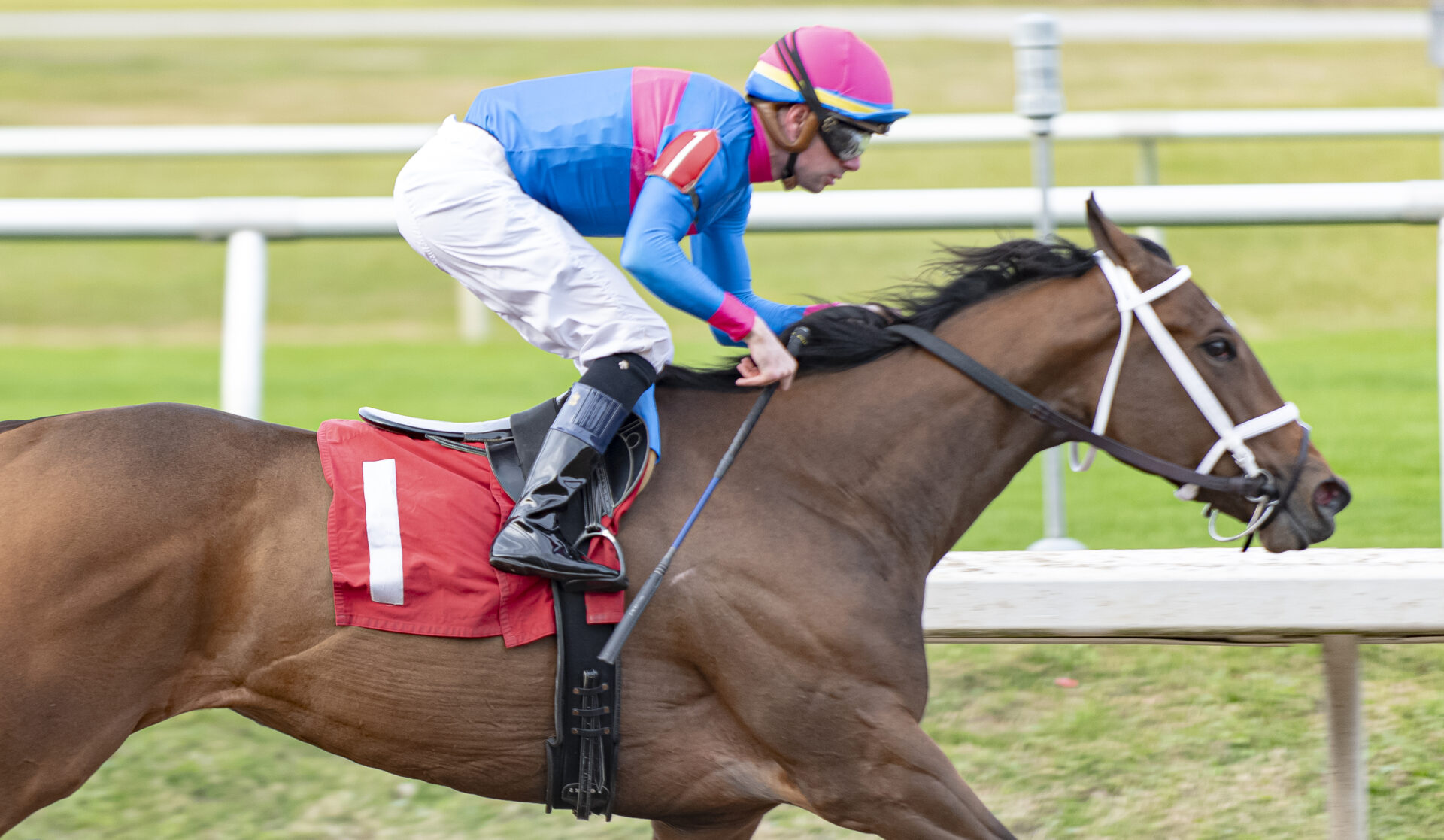 Fair Grounds Replay  Untapable Stakes 2023