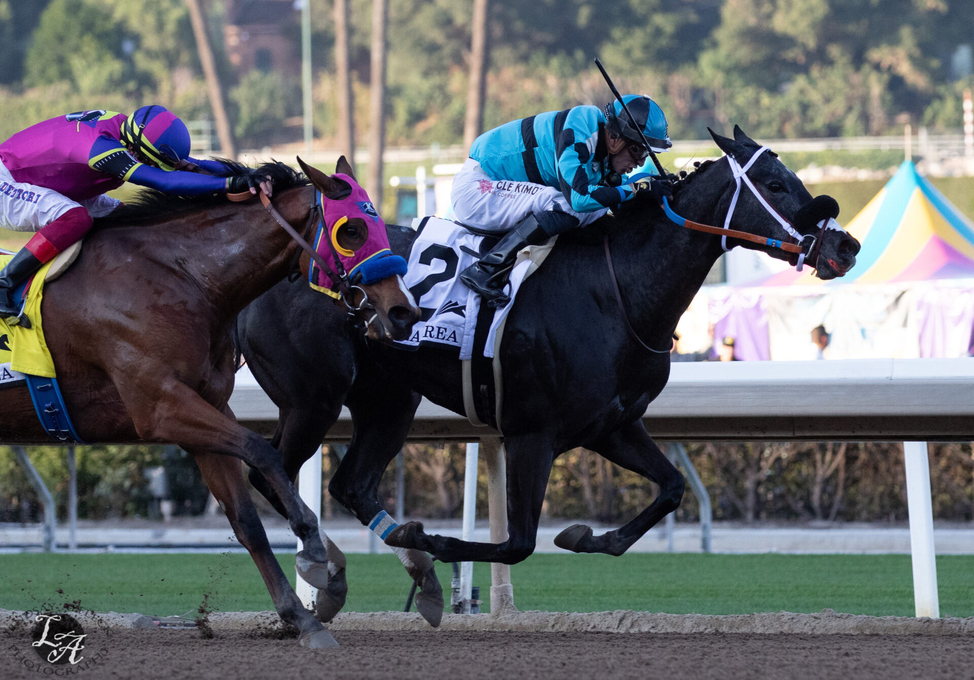 Santa Anita Park Replay La Brea Stakes 2023