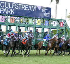 Horse Racing BEST BETS: Gulfstream Park February 3-4, 2024