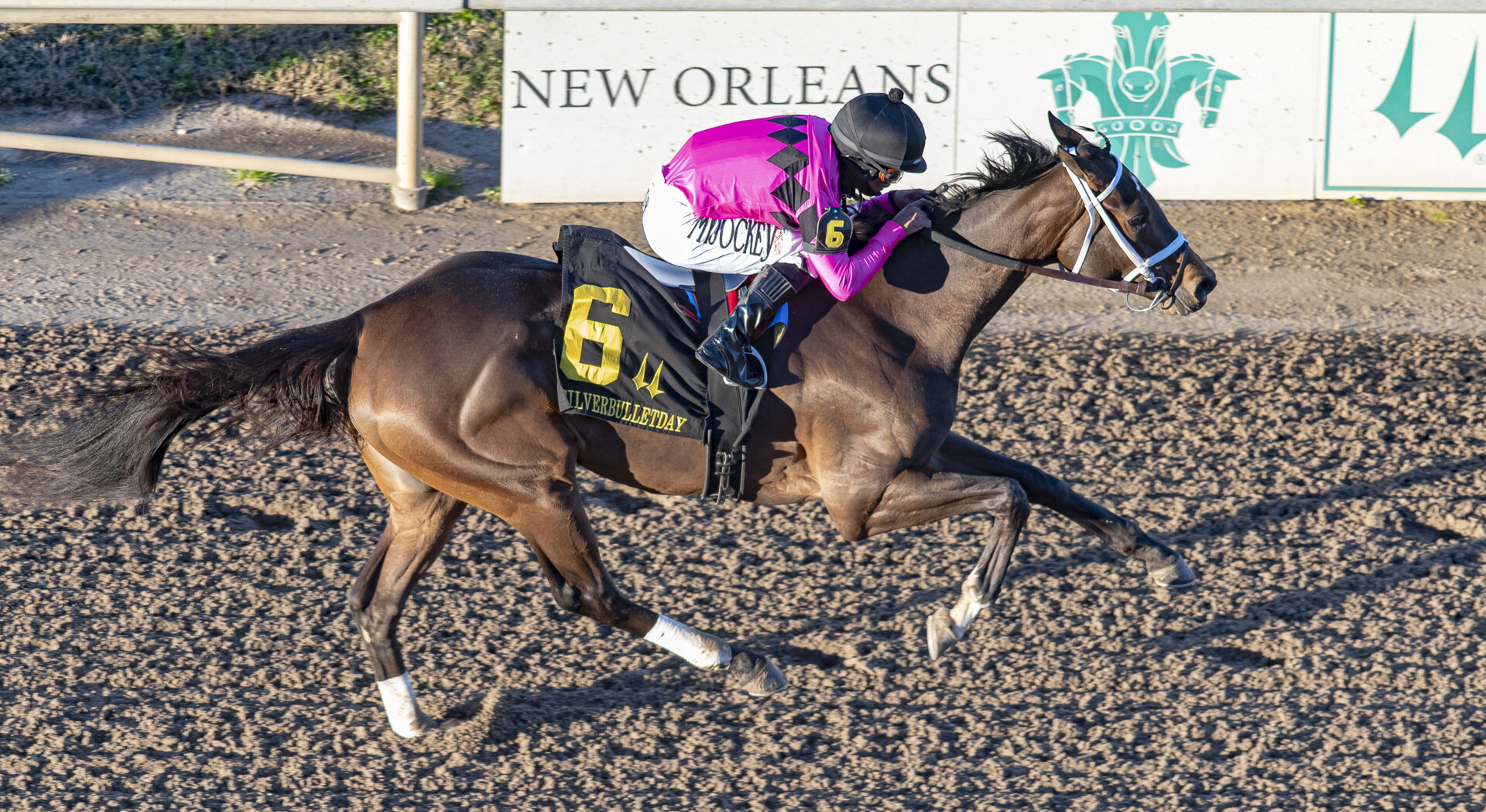 Silverbulletday Stakes 2024 [Kentucky Oaks] Fair Grounds Replay