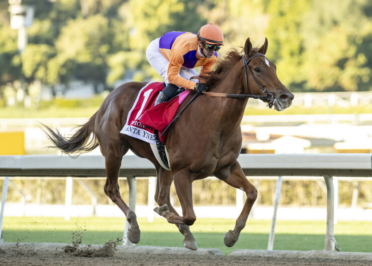 2024 Kentucky Oaks Picks, Betting, Contenders and Results