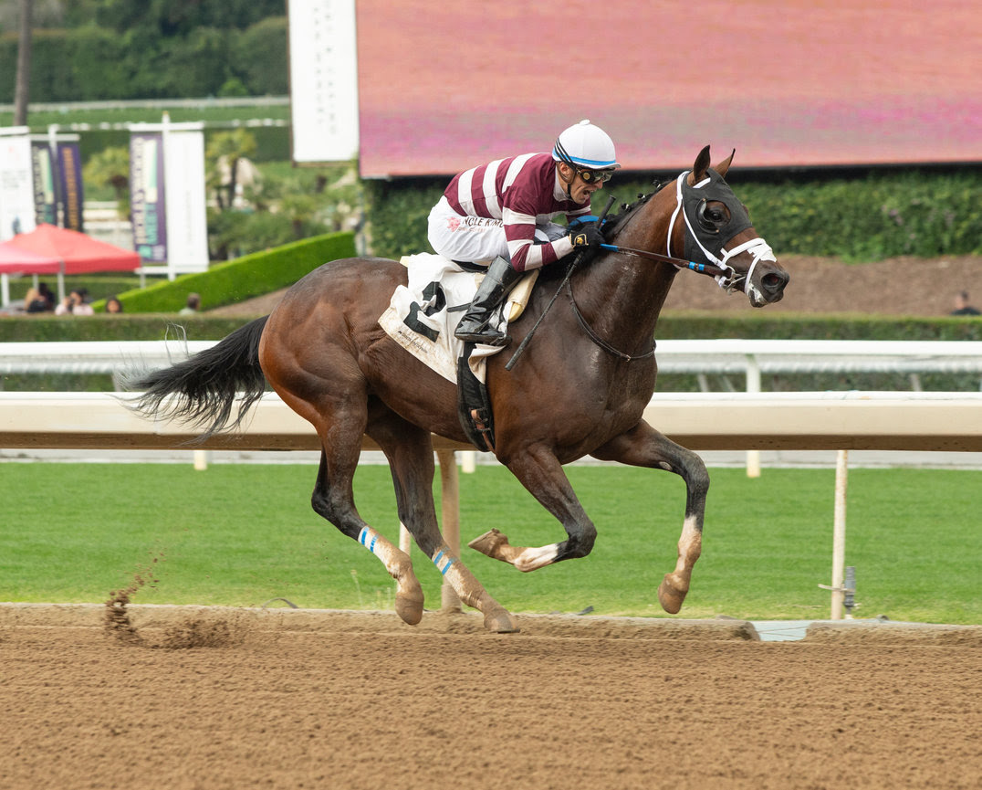 Santa Anita Park Preview California Cup Derby 2024   Last Call London Benoit Photo 