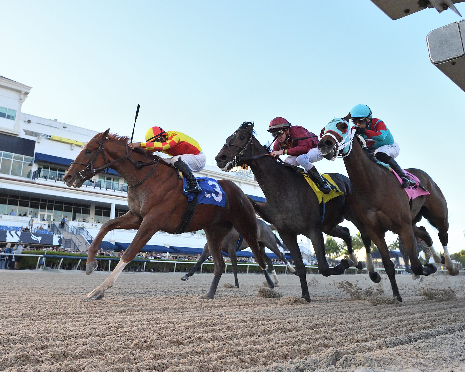 Gulfstream Park Replay Mucho Macho Man Stakes 2024