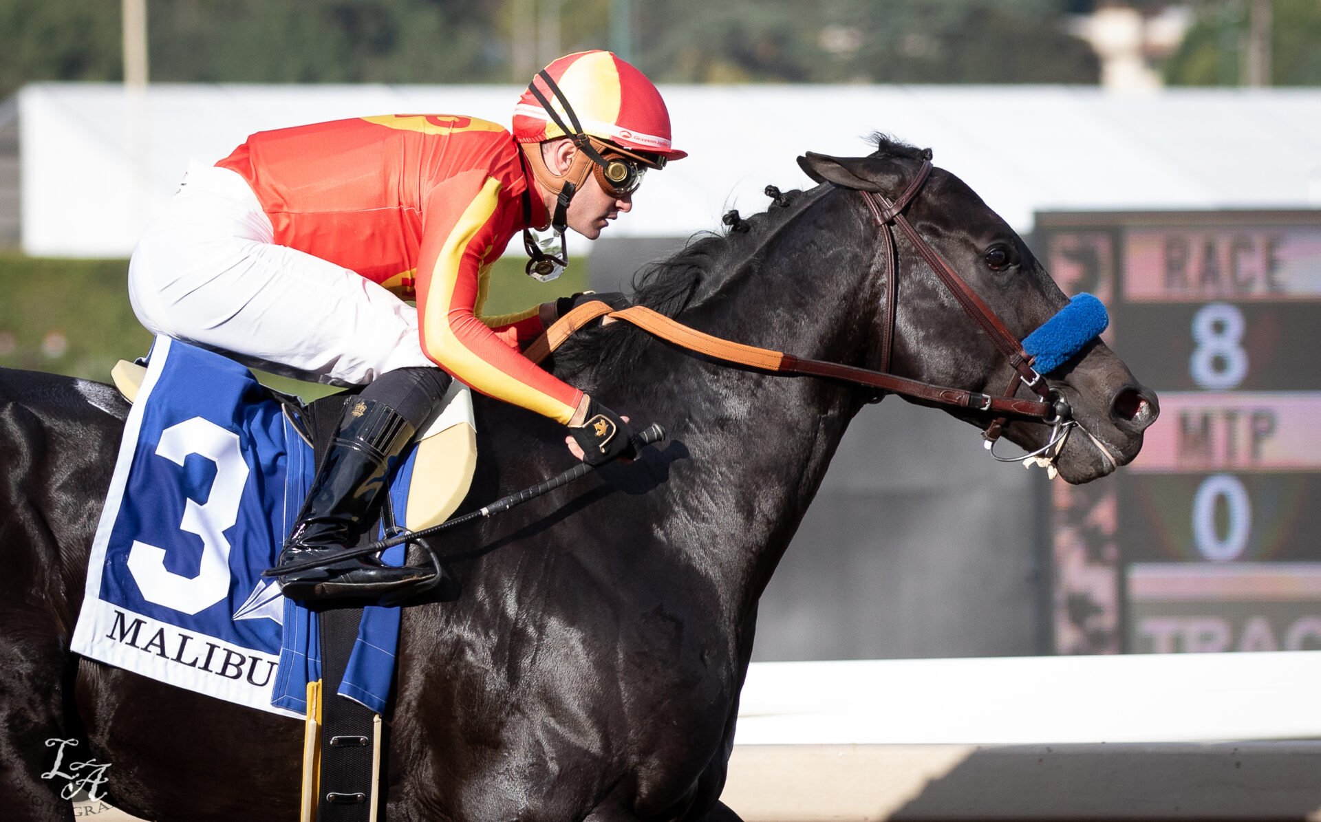 Santa Anita Park Replay Malibu Stakes 2023