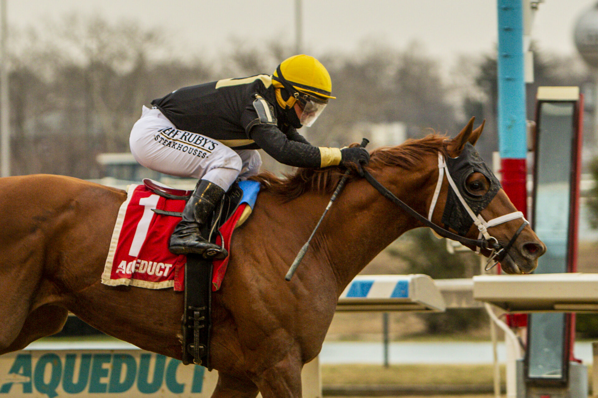 Aqueduct Replay Jerome Stakes 2024 [Kentucky Derby]