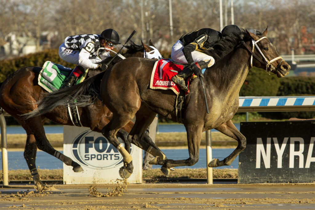 Horse Racing Stakes Schedule Racing Dudes