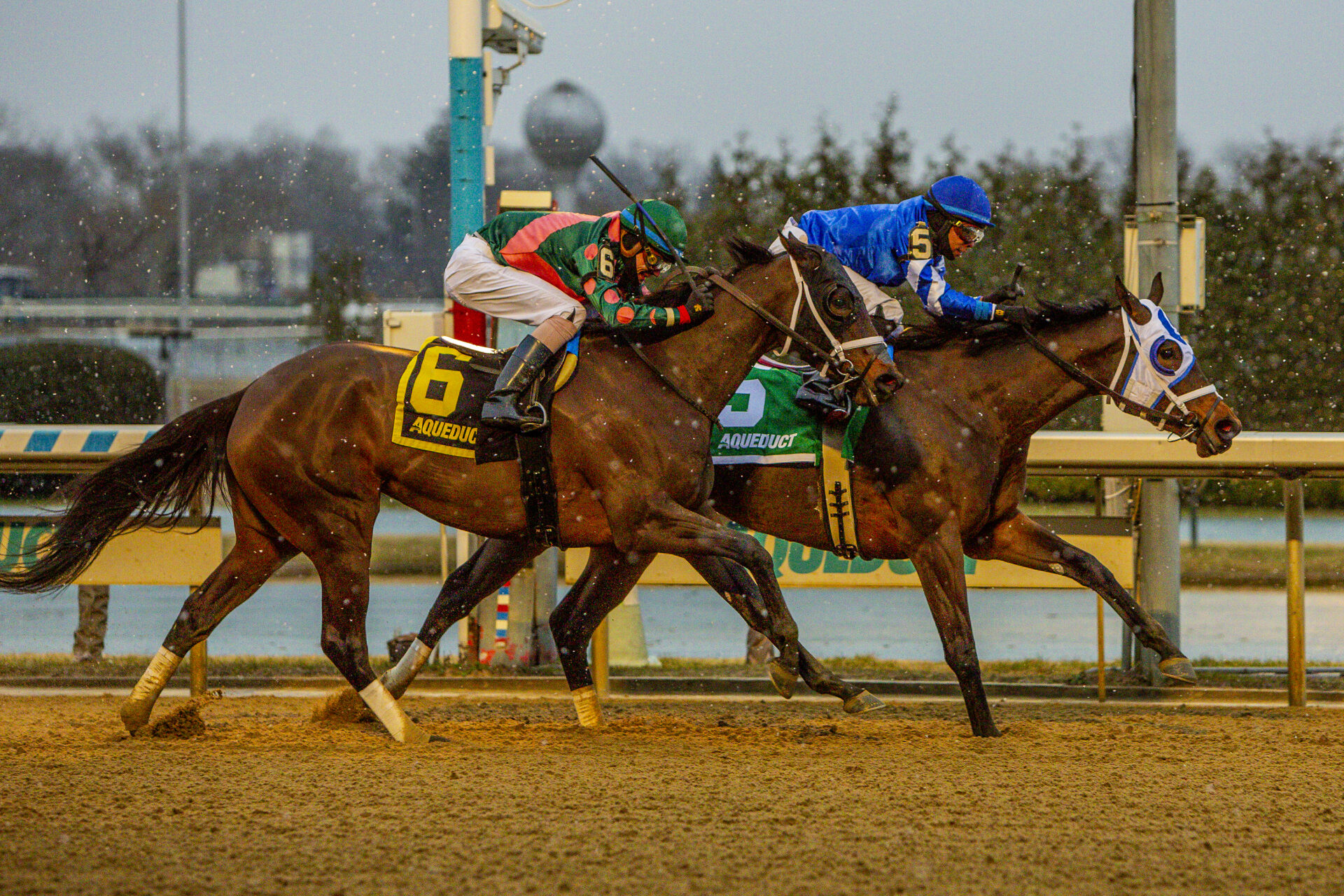 Oaklawn Park Picks Azeri Stakes 2024