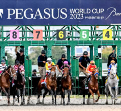 Gulfstream Park Pick 5 Preview [Pegasus World Cup Day] | The Magic Mike Show 524