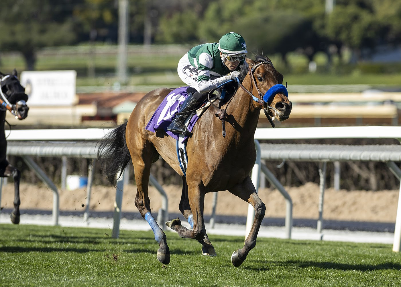 Santa Anita Park Picks China Doll Stakes 2024