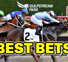 Horse Racing BEST BETS: Gulfstream Park February 17-18, 2024