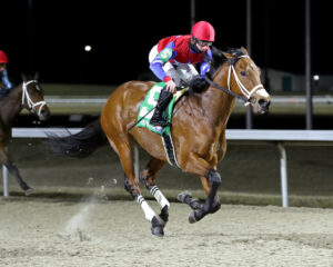 Epic Ride winning the Leonatus Stakes at Turfway Park