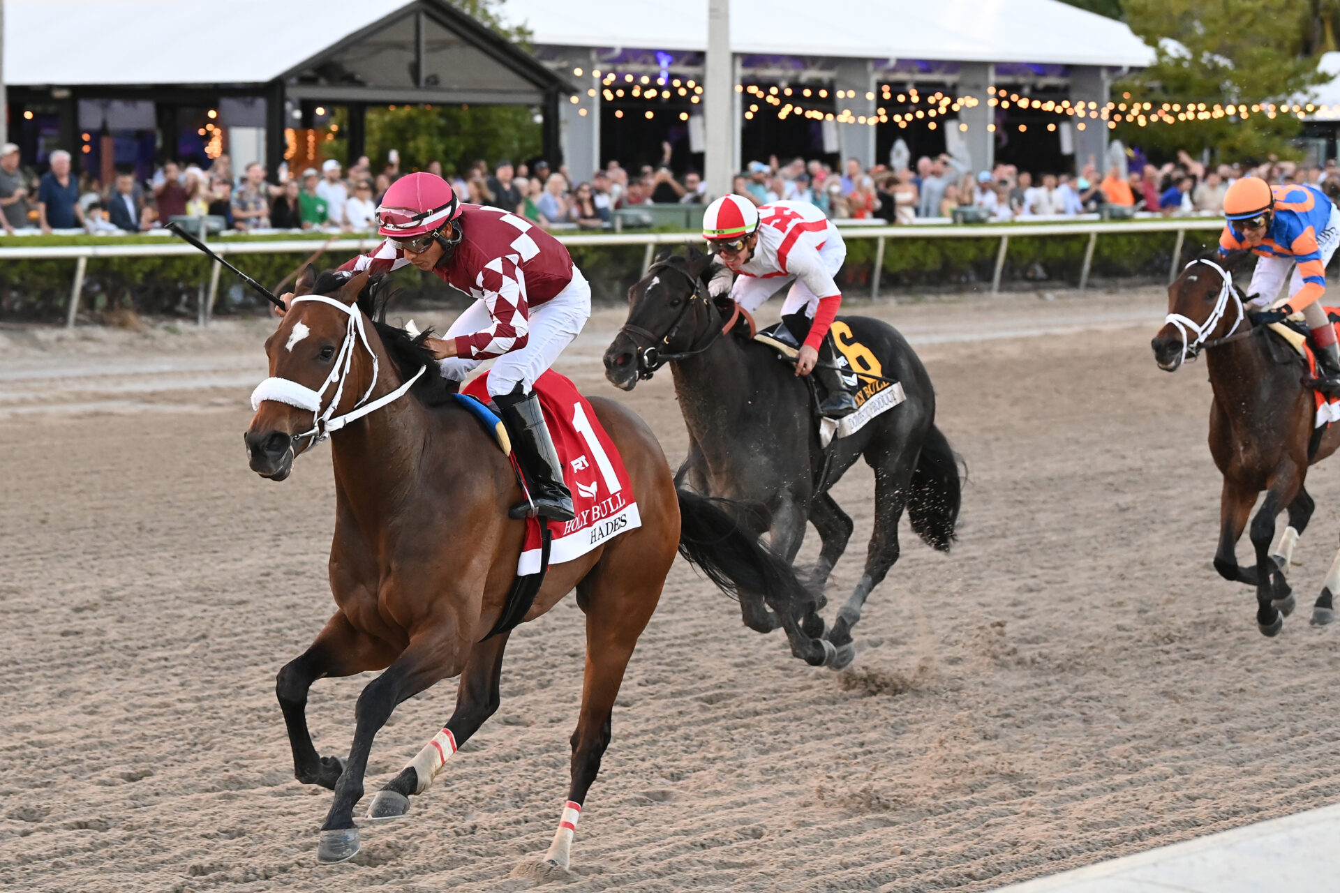 Holy Bull Stakes 2024 Gulfstream Park Replay [Kentucky Derby]