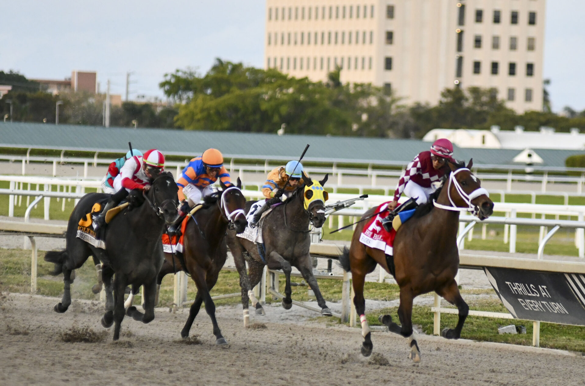 Florida Derby 2024 Gulfstream Park Picks [Kentucky Derby]