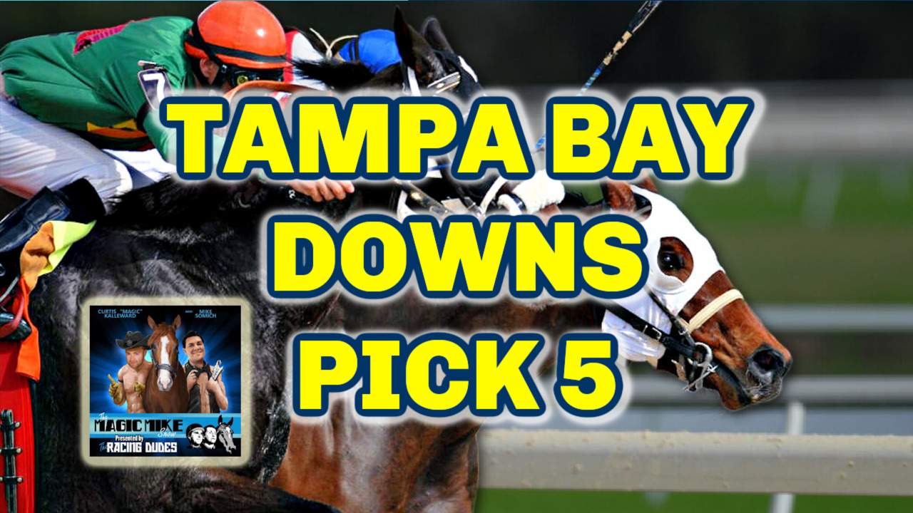 Tampa Bay Downs Pick 5 Preview [Sam F. Davis Stakes Day]