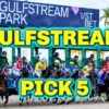 Gulfstream Park Pick 5 Preview [Fountain of Youth Stakes Day] | The Magic Mike Show 531