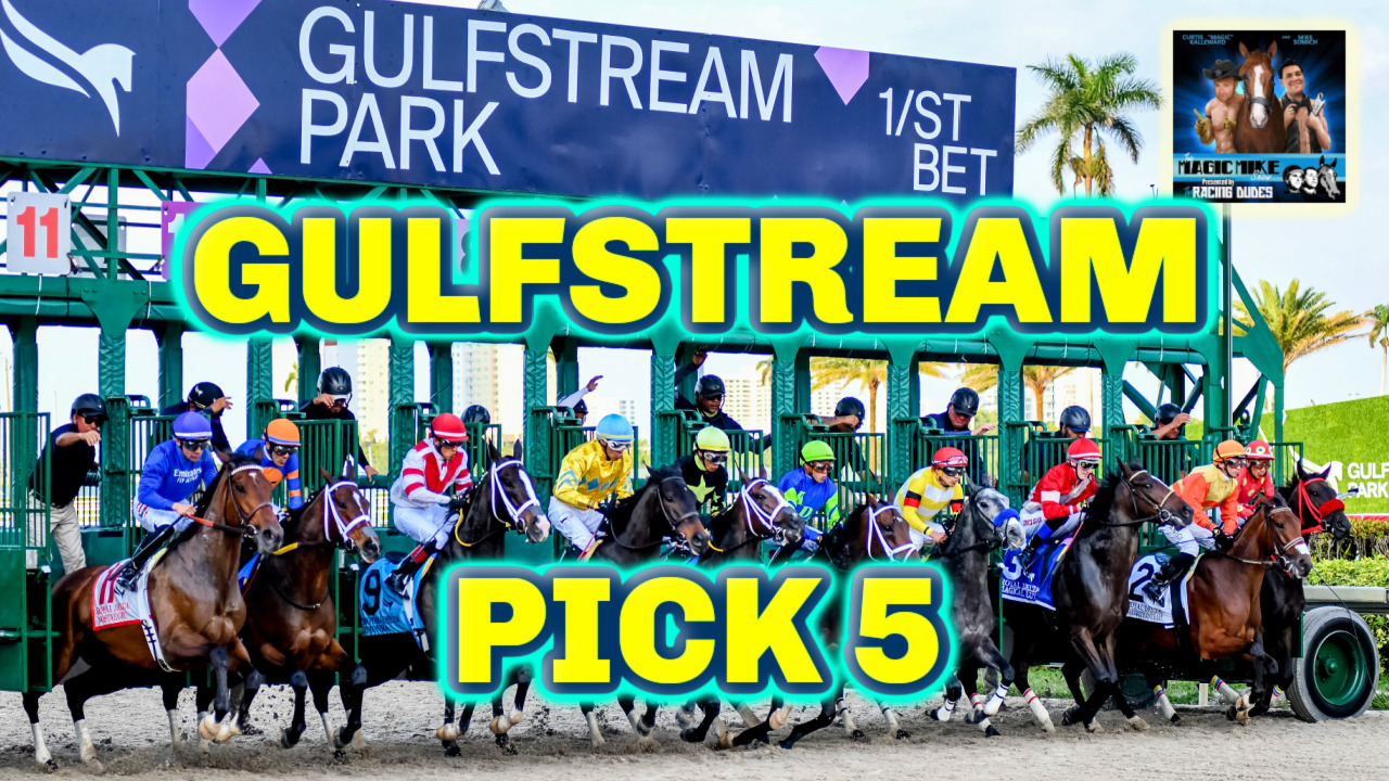 Gulfstream park live racing on online livestream