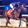 Rachel Alexandra Stakes 2024 | Fair Grounds Replay [Kentucky Oaks]