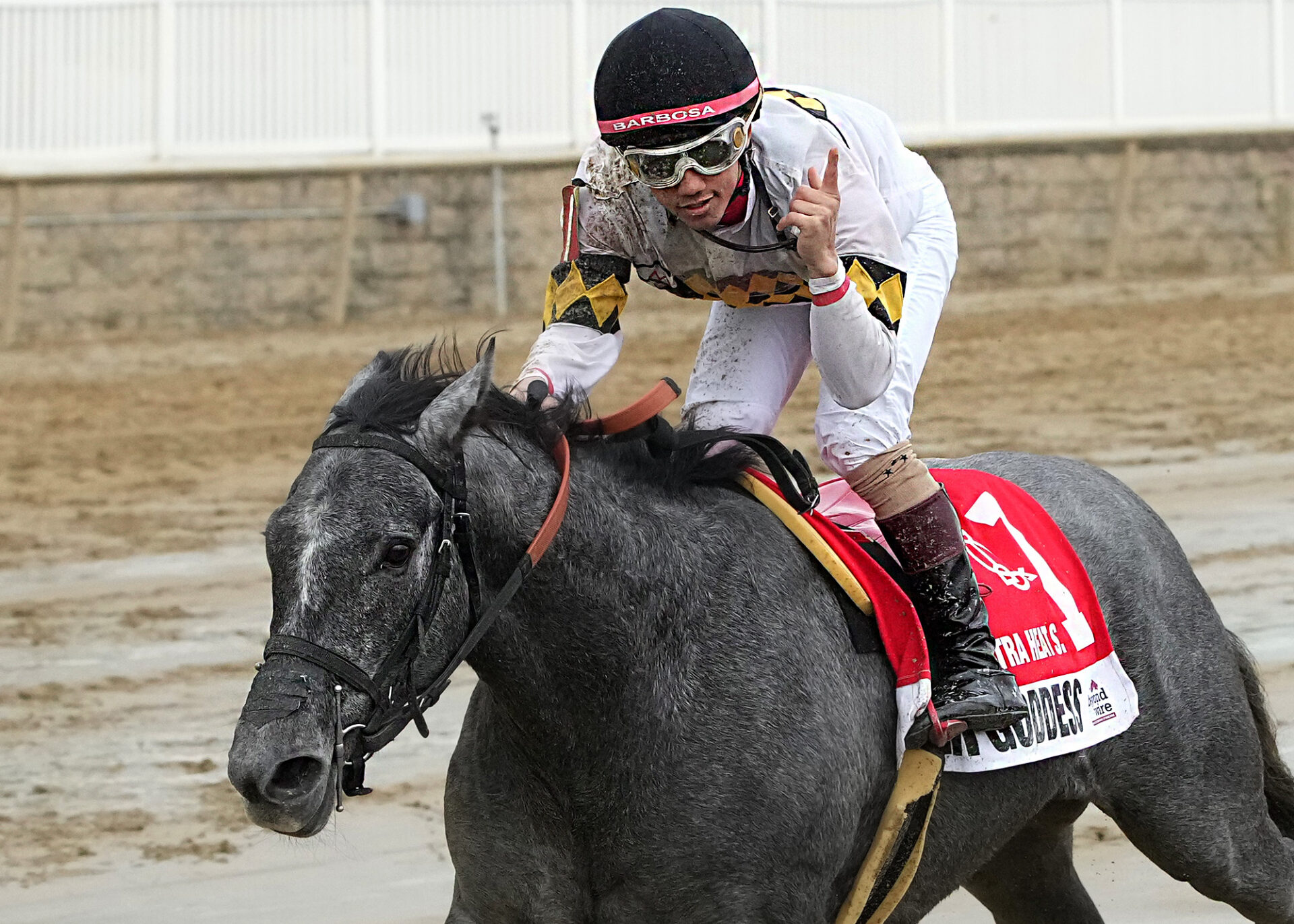 Laurel Park Picks Wide Country Stakes 2024   Roanan Goddess Xtra Heat Maryland Jockey Club 